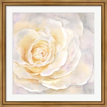 Framed Watercolor Rose Closeup II Print