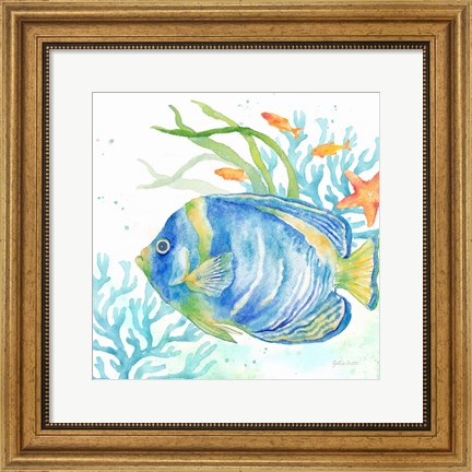 Framed Sea Life Serenade I Print