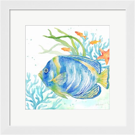 Framed Sea Life Serenade I Print