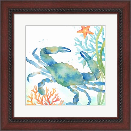 Framed Sea Life Serenade II Print