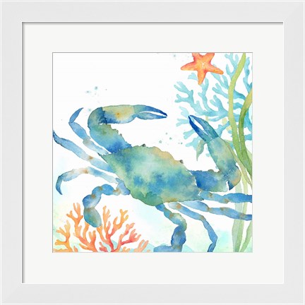 Framed Sea Life Serenade II Print