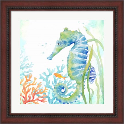 Framed Sea Life Serenade III Print