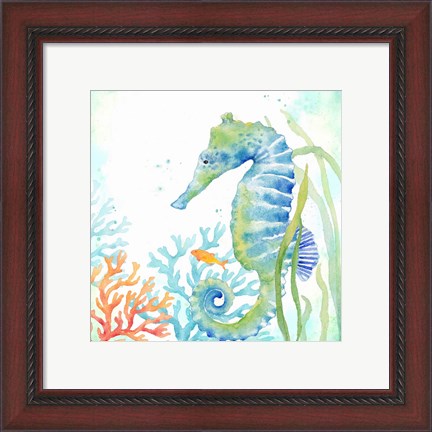 Framed Sea Life Serenade III Print