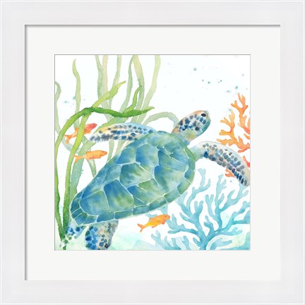 Framed Sea Life Serenade IV Print