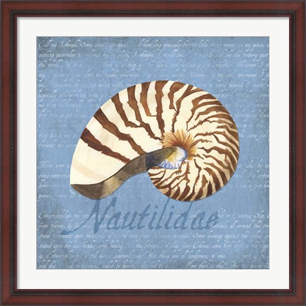 Framed Oceanum Shells Blue III Print