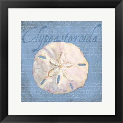 Framed Oceanum Shells Blue IV Print