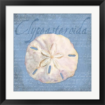 Framed Oceanum Shells Blue IV Print