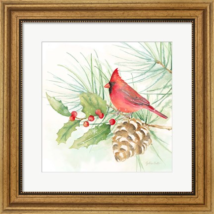 Framed Winter Birds IV Cardinal Print