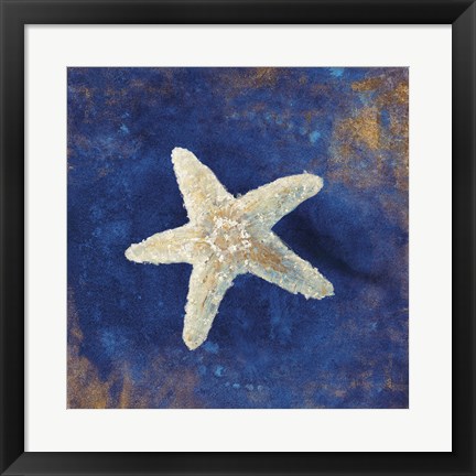 Framed Treasures from the Sea Indigo IV Print