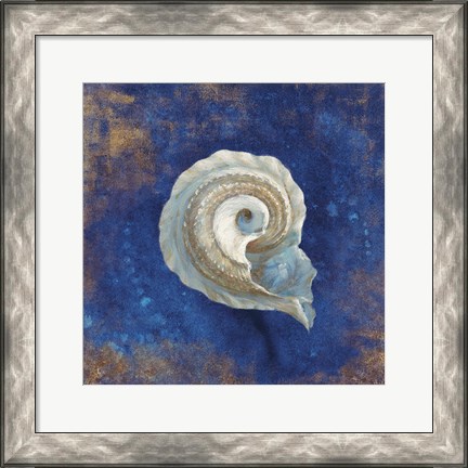 Framed Treasures from the Sea Indigo III Print