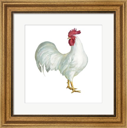 Framed Noble Rooster I on White Print