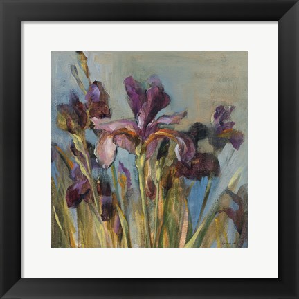 Framed Spring Iris I Print