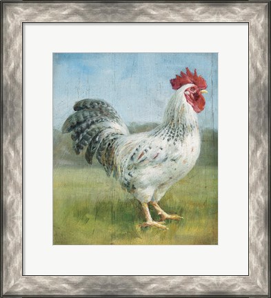 Framed Noble Rooster IV v.2 Vintage No Border Print