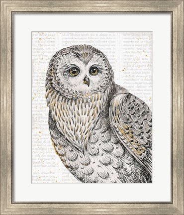 Framed Beautiful Owls IV Print