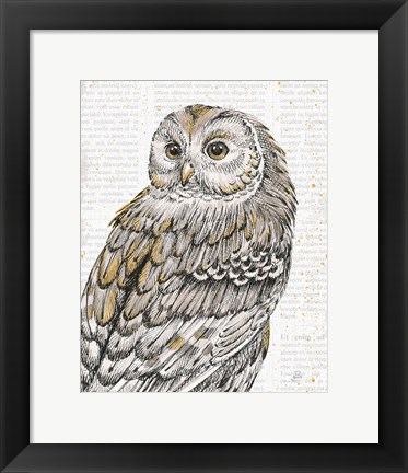 Framed Beautiful Owls III Print