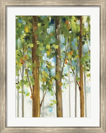 Framed Forest Study II SPC Print