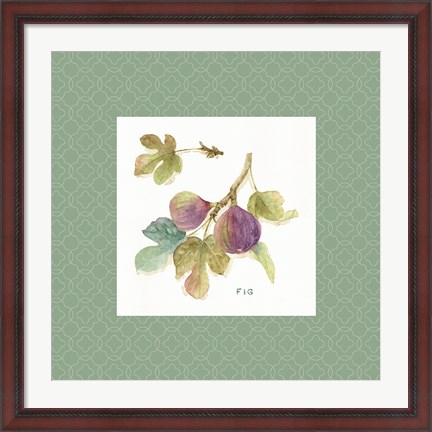 Framed Orchard Bloom III Border Print