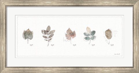 Framed Woodland Walk XV Print