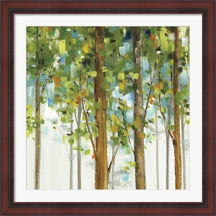 Framed Forest Study IX Print