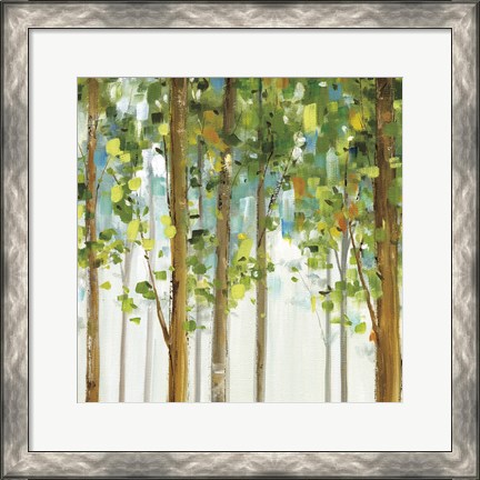 Framed Forest Study VIII Print