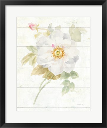 Framed June Blooms III Print