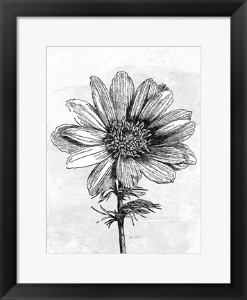 Framed Spa Botanical IV BW Crop Print