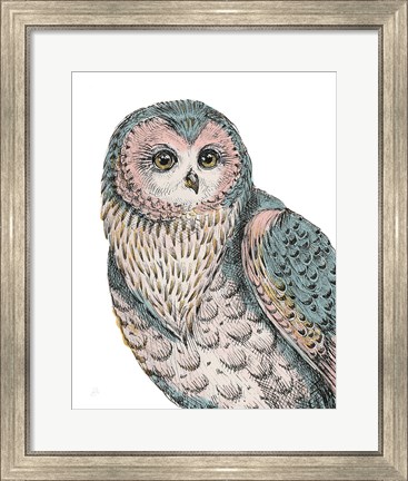 Framed Beautiful Owls IV Pastel Print