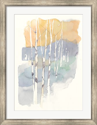 Framed Aspens II Print