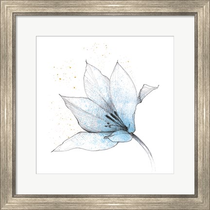 Framed Blue Graphite Flower IX Print