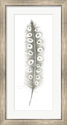 Framed Feather Sketches VII Print