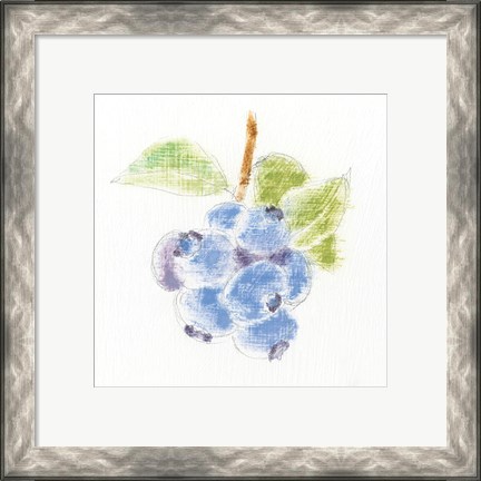 Framed Garden Delight II Print