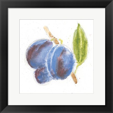 Framed Garden Delight VI Print