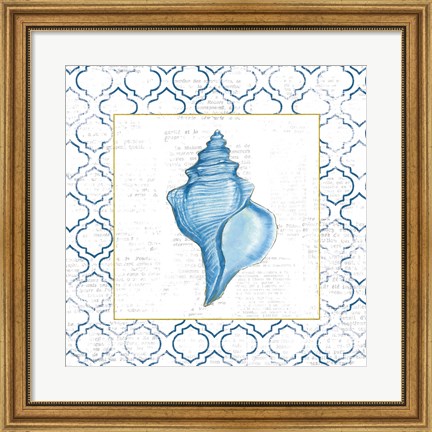 Framed Navy Conch Shell on Newsprint with Gold Print