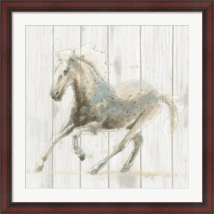 Framed Stallion II on Birch Print