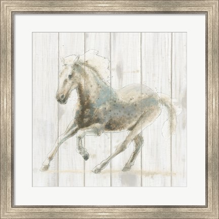 Framed Stallion II on Birch Print