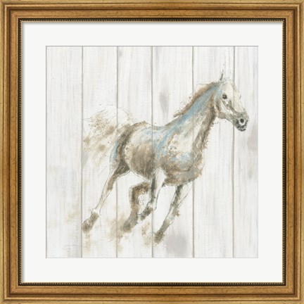 Framed Stallion I on Birch Print