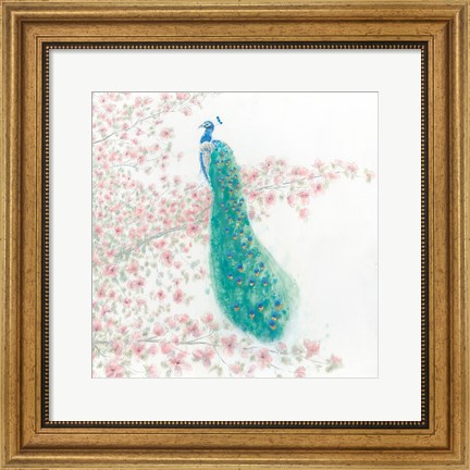 Framed Spring Peacock II Print