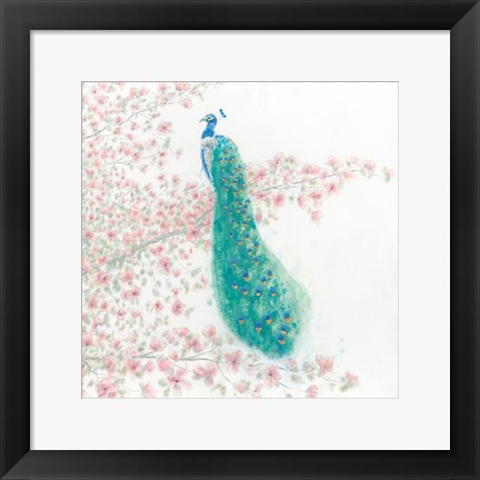 Framed Spring Peacock II Print