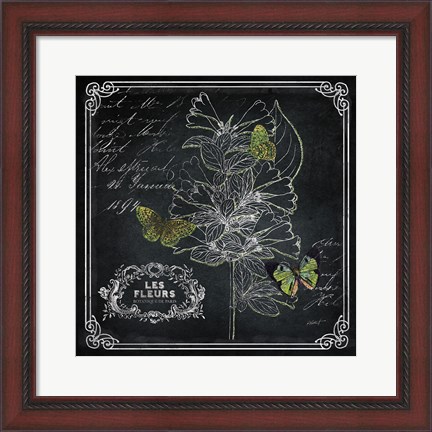 Framed Chalkboard Botanical II Print