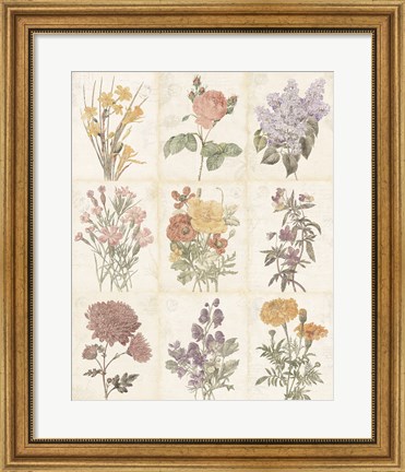 Framed Flowers of the Month 9 Patch Vintage Print