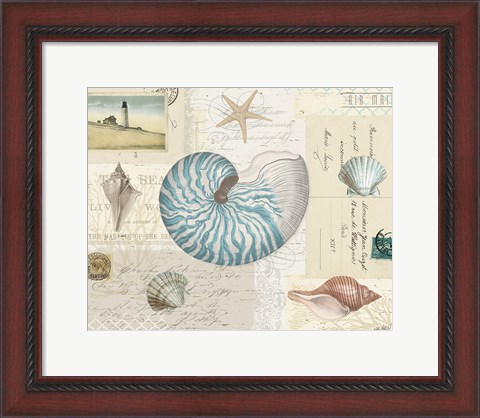 Framed Beach Wonders I No Butterflies Print