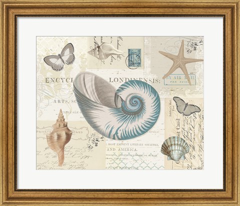 Framed Beach Wonders II Print