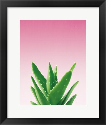 Framed Succulent Simplicity V Pink Ombre Crop Print