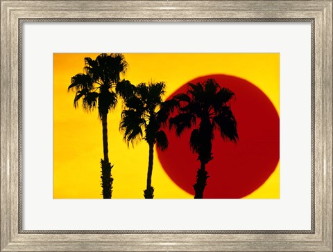 Framed 1990S 3 Silhouetted Palm Trees Print