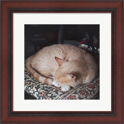 Framed Sleepy Afternoon Print