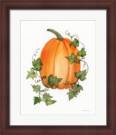 Framed Pumpkin and Vines IV Print