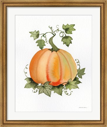 Framed Pumpkin and Vines II Print