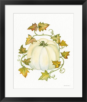 Framed Pumpkin and Vines III Print