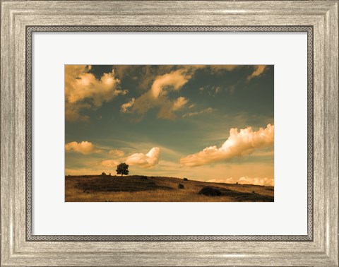 Framed What Beautiful Clouds Print