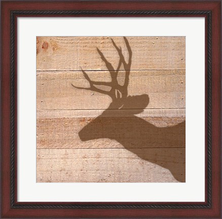 Framed Deer Print